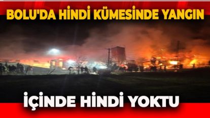 BOLU'DA HİNDİ KÜMESİNDE YANGIN