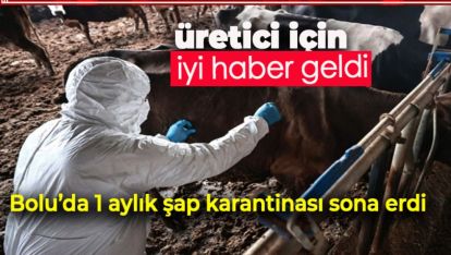 ÇOK ŞÜKÜR ATLATTIK. ŞAP KARANTİNASI SONA ERDİ