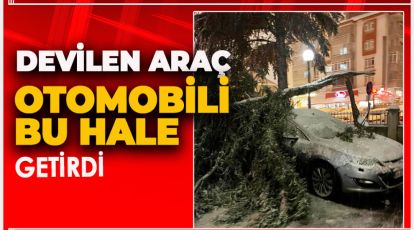 HASTANE ÖNÜNDE DEVRİLEN AĞAÇ ARACA ZARAR VERDİ