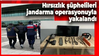 HIRSIZLIK ŞÜPHELİLERİ JANDARMA OPERASYONUYLA YAKALANDI