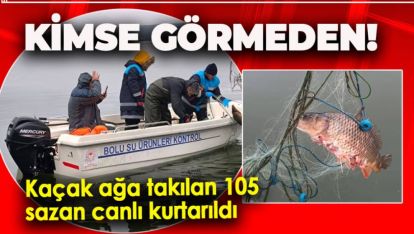 KAÇAK AĞA TAKILAN 105 SAZAN CANLI KURTARILDI