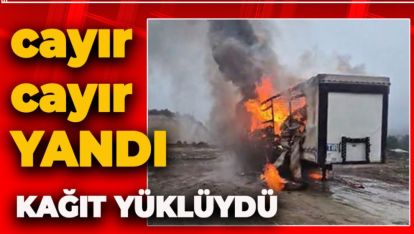 KAĞIT YÜKLÜ TIR'IN DORSESİ ALEV ALEV YANDI