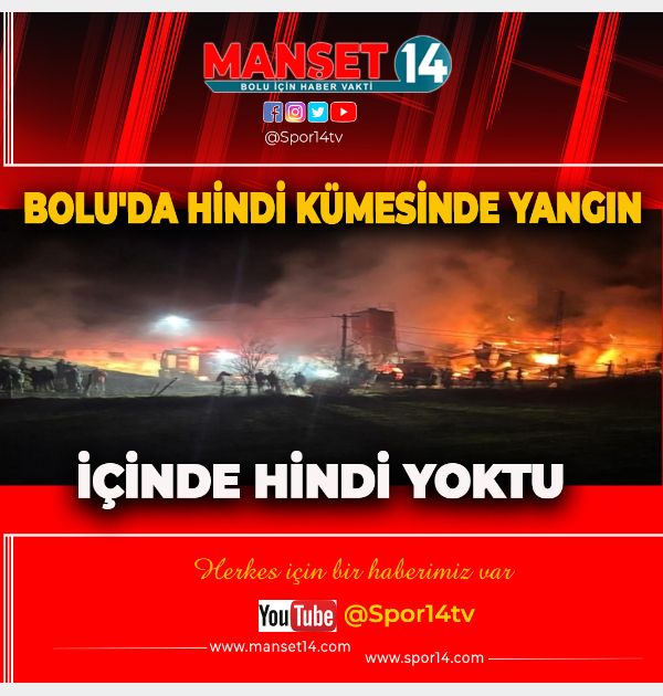BOLU'DA HİNDİ KÜMESİNDE YANGIN