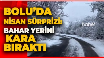 BOLU'DA NİSAN SÜRPRİZİ: BAHAR YERİNİ KARA BIRAKTI