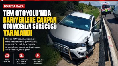 TEM Otoyolu'nda Bariyerlere Çarpan Otomobilin Sürücüsü Yaralandı