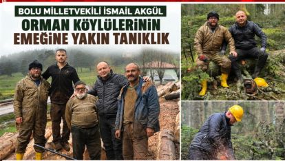 VEKİL AKGÜL ORMAN KÖYLÜLERİNİN DERTLERİ İLE DERTLENDİ