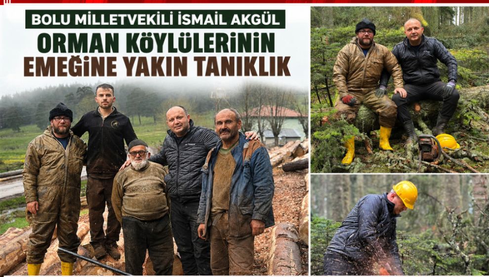 VEKİL AKGÜL ORMAN KÖYLÜLERİNİN DERTLERİ İLE DERTLENDİ