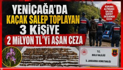 YENİÇAĞA'DA KAÇAK SALEP TOPLAYAN 3 KİŞİYE 2 MİLYON TL'Yİ AŞAN CEZA