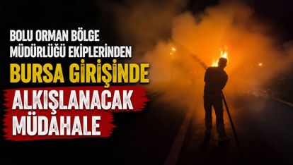 Bolu Orman Bölge Müdürlüğü Ekiplerinden Bursa Girişinde Alkışlanacak Müdahale