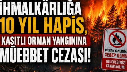 İhmalkârlığa 10 Yıl Hapis, Kasıtlı Orman Yangınına Müebbet Cezası