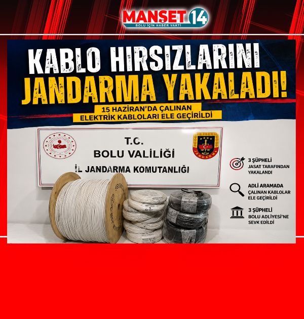 Bolu'da Kablo Hırsızlığı Aydınlatıldı: 3 Şüpheli JASAT Tarafından Yakalandı
