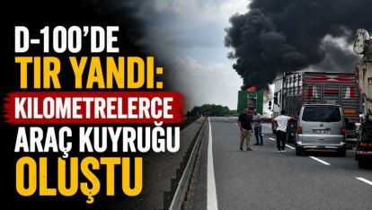 D-100'de TIR yandı: Kilometrelerce araç kuyruğu oluştu