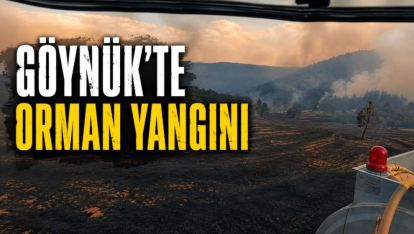 Göynük'te Orman Yangını: Havadan ve Karadan Müdahale Sürüyor