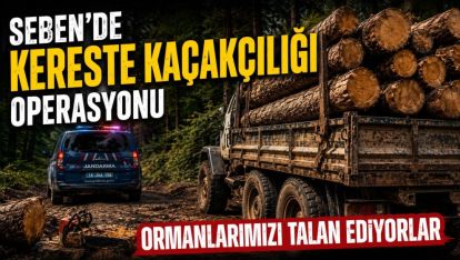 Seben'de Kereste Kaçakçılığı Operasyonu: Ormanlarımızı Talan Ediyorlar