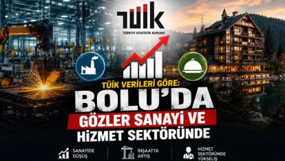 TÜİK Verileri göre: Bolu'da Gözler Sanayi ve Hizmet Sektöründe