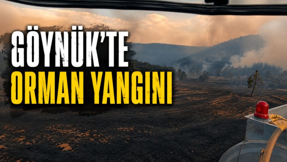 Göynük'te Orman Yangını: Havadan ve Karadan Müdahale Sürüyor