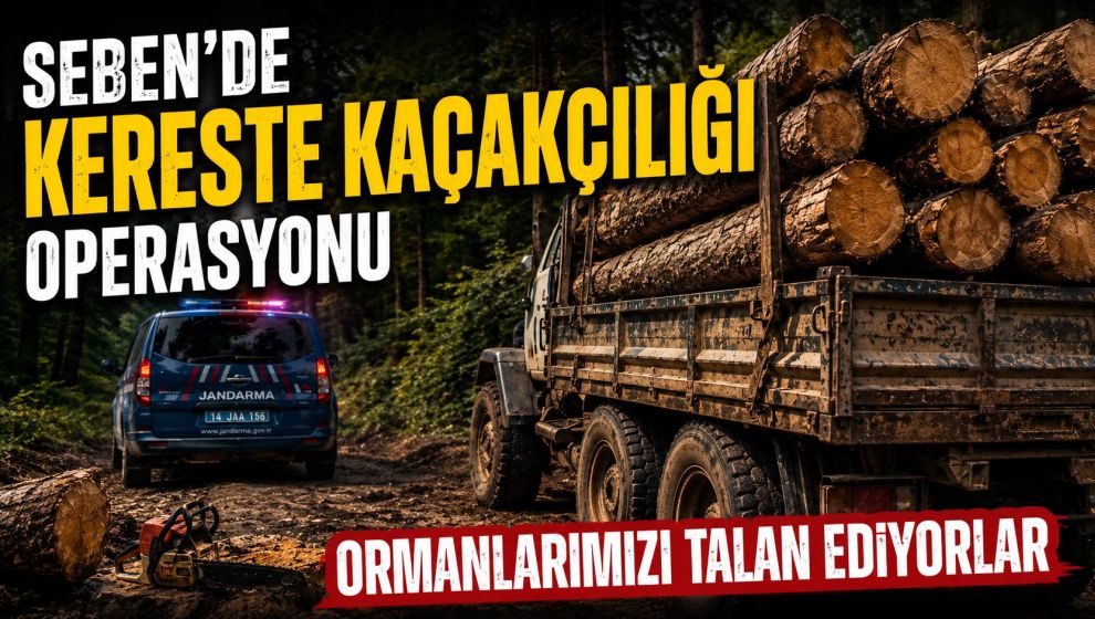 Seben'de Kereste Kaçakçılığı Operasyonu: Ormanlarımızı Talan Ediyorlar