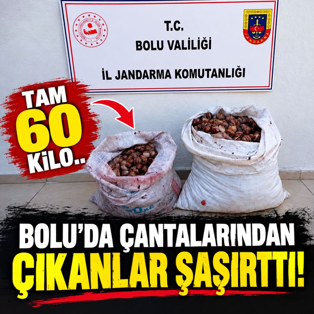 BOLU'DA ÇANTALARINDAN ÇIKANLAR ŞAŞIRTTI! TAM 60 KİLO...